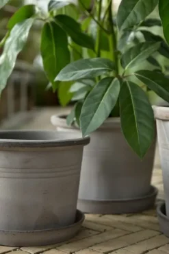 New Galestro harmaa ruukku Ø30cm Piha Ja Terassi|Ruukut Ja Maljakot