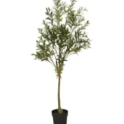 Outlet Ib Laursen - Oliivipuu L h166cm Piha Ja Terassi|Oliivipuut