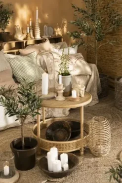 Ib Laursen - Oliivipuu S h75cm Piha Ja Terassi|Oliivipuut