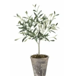 New Oliivipuu H44cm Piha Ja Terassi|Oliivipuut