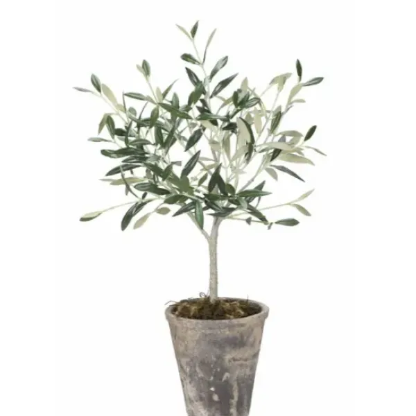 New Oliivipuu H44cm Piha Ja Terassi|Oliivipuut