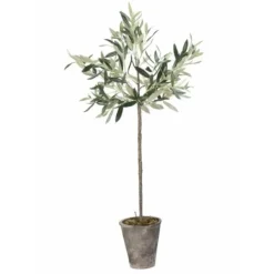 Best Oliivipuu H73cm Piha Ja Terassi|Oliivipuut