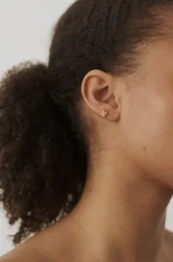 Best - Anemone Helix Piercing, hopea Korvakorut