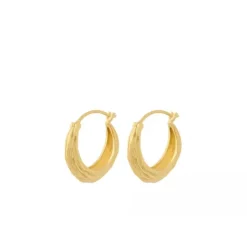 Hot - Coastline korvakorut, kulta Korvakorut