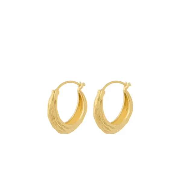 Hot - Coastline korvakorut, kulta Korvakorut