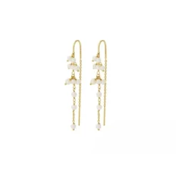 Discount - Ocean Treasure korvakorut, kulta Korvakorut