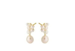 Discount - Ocean Treasure nappikorvakorut, kulta Korvakorut