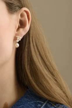 Discount - Ocean Treasure nappikorvakorut, kulta Korvakorut