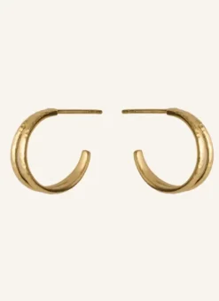 Hot - Poetry Hoops, kulta Korvakorut