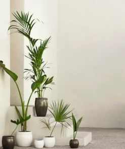 Discount - ruukku, phantom Piha Ja Terassi|Ruukut Ja Maljakot