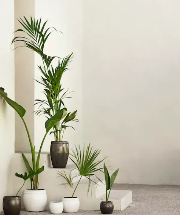 Discount - ruukku, phantom Piha Ja Terassi|Ruukut Ja Maljakot