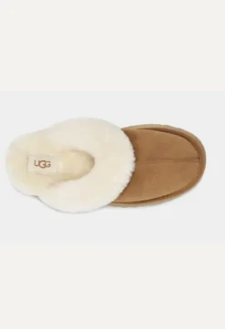 Hot - Disquette Slipper, chestnut Tohvelit|Ugg